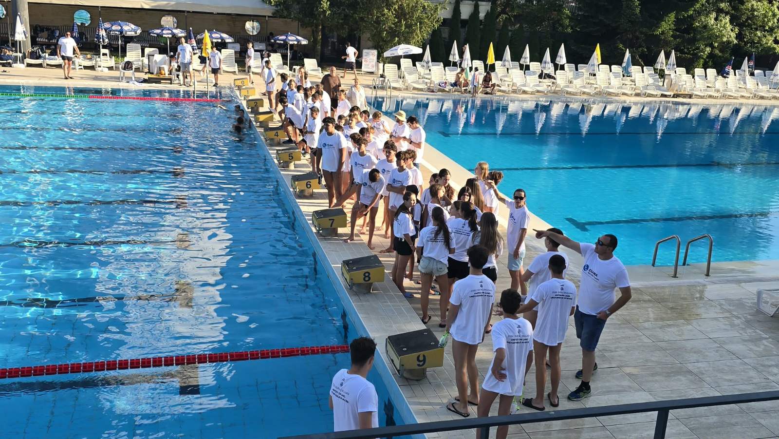 IMG-263d1123f721126231a5ed9255041483-V IMG-263d1123f721126231a5ed9255041483-V