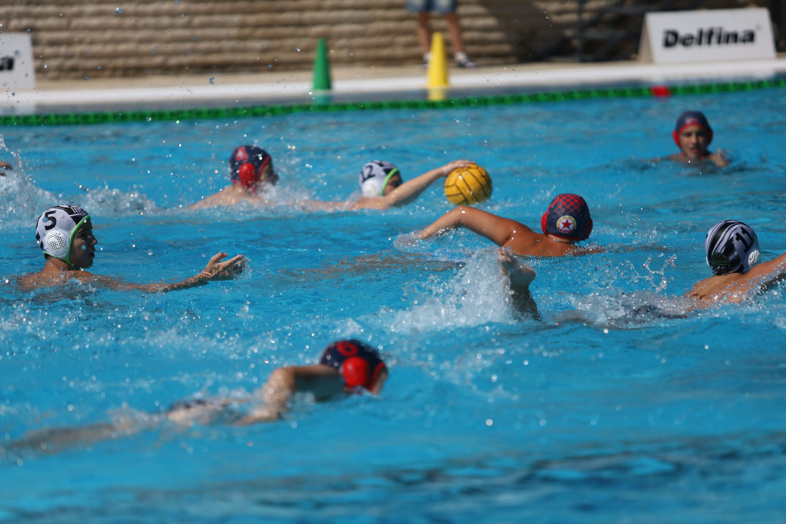 IMG_0909 IMG_0909