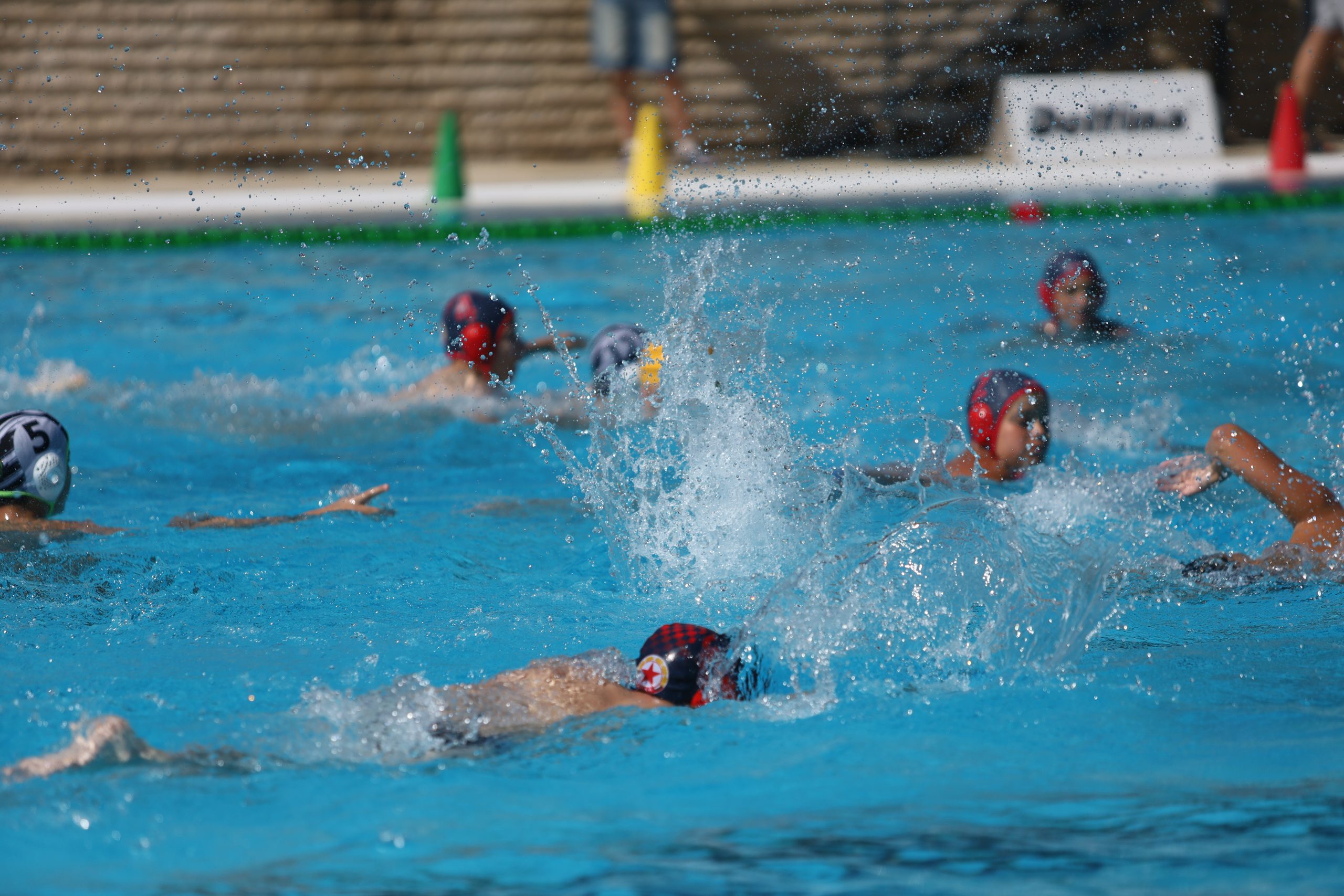 IMG_0910 IMG_0910