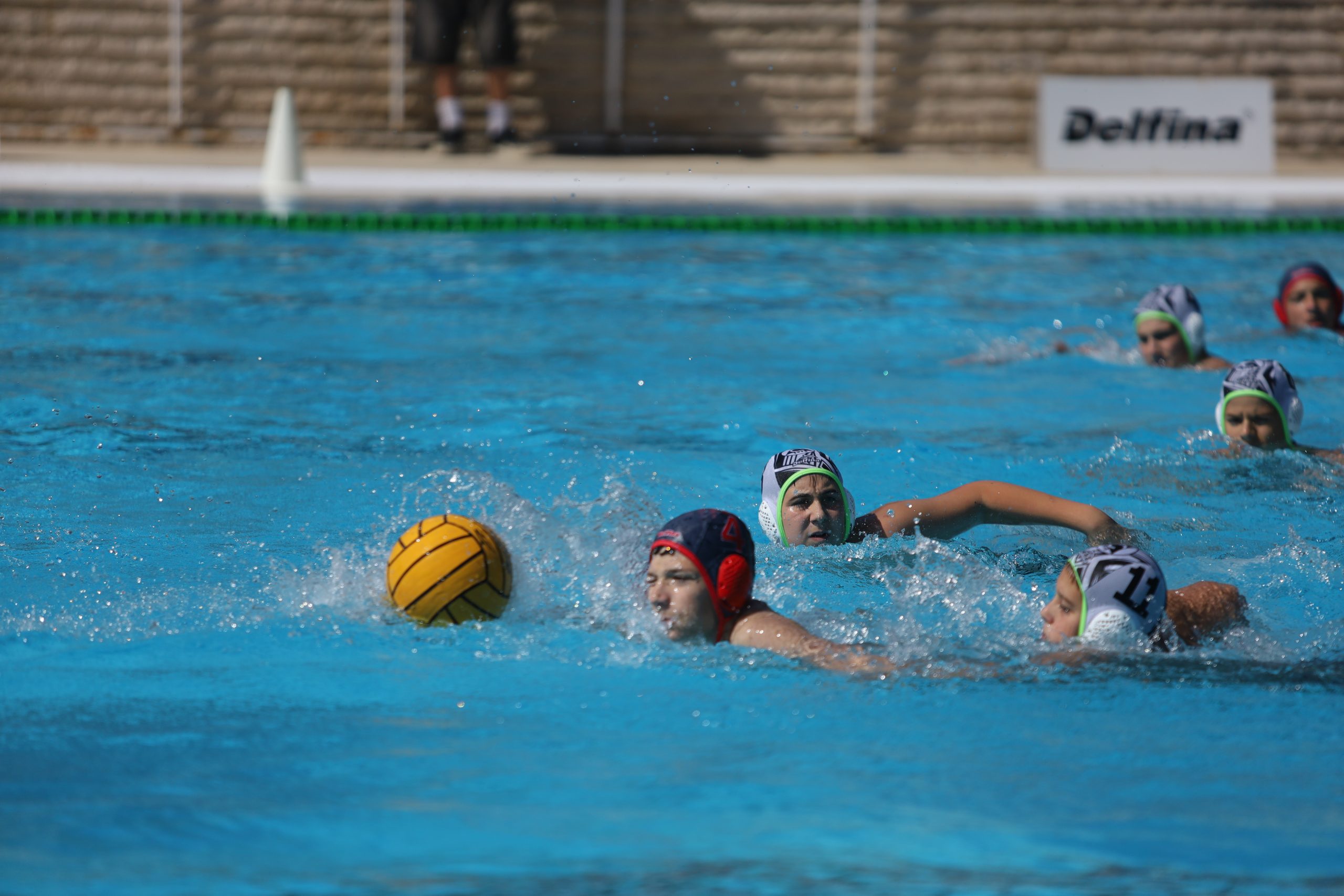 IMG_0915 IMG_0915
