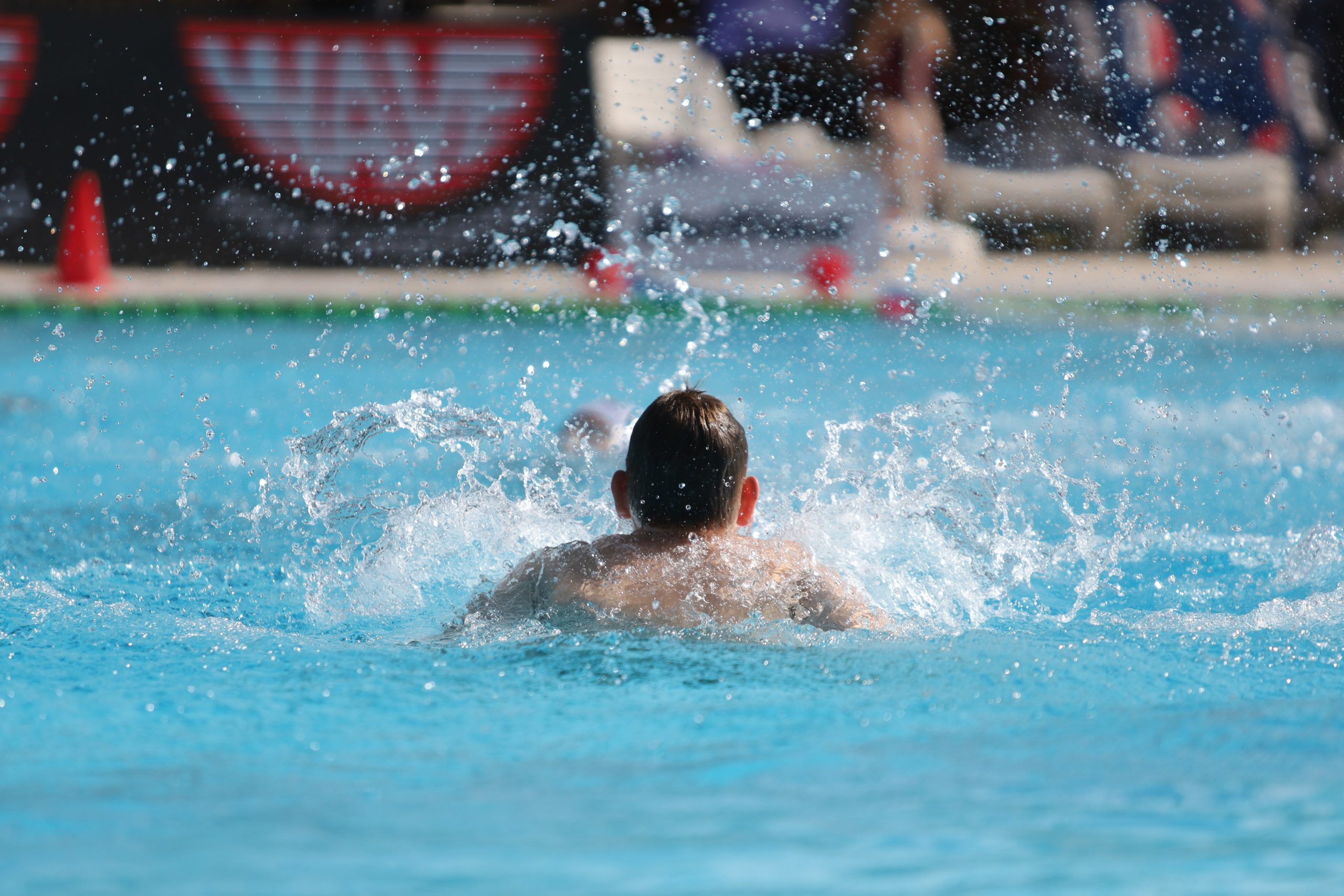 IMG_1233 IMG_1233